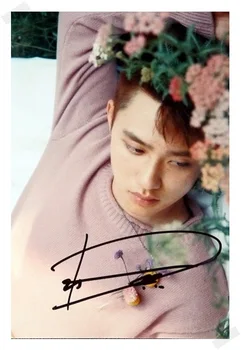 signed EXO DO D.O Doh Kyungsoo autographed original photo 6 inches free shipping 08201705
signed EXO DO D.O Doh Kyungsoo autographed original photo 6 inches free shipping 08201705