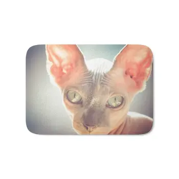 Floyd The Cat Bath Mat Bath Mat Entrance Door Mat Bathroom Kitchen Carpets Doormats for Living Room
Floyd The Cat Bath Mat Bath Mat Entrance Door Mat Bathroom Kitchen Carpets Doormats for Living Room