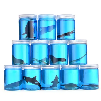 Marine Animal World Crystal Mud Early Learning Educational Toy Kid Clay Toys DIY Slime Play Transparent Plasticine Random Shape
Marine Animal World Crystal Mud Early Learning Educational Toy Kid Clay Toys DIY Slime Play Transparent Plasticine Random Shape