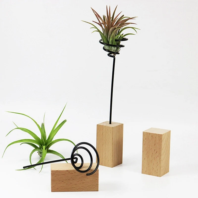 1 Pcs Handcraft Wooden Air Plant Holder Airplants Tillandsia Planter Pot Desktop Display Indoor Decoration Home Decor
1 Pcs Handcraft Wooden Air Plant Holder Airplants Tillandsia Planter Pot Desktop Display Indoor Decoration Home Decor