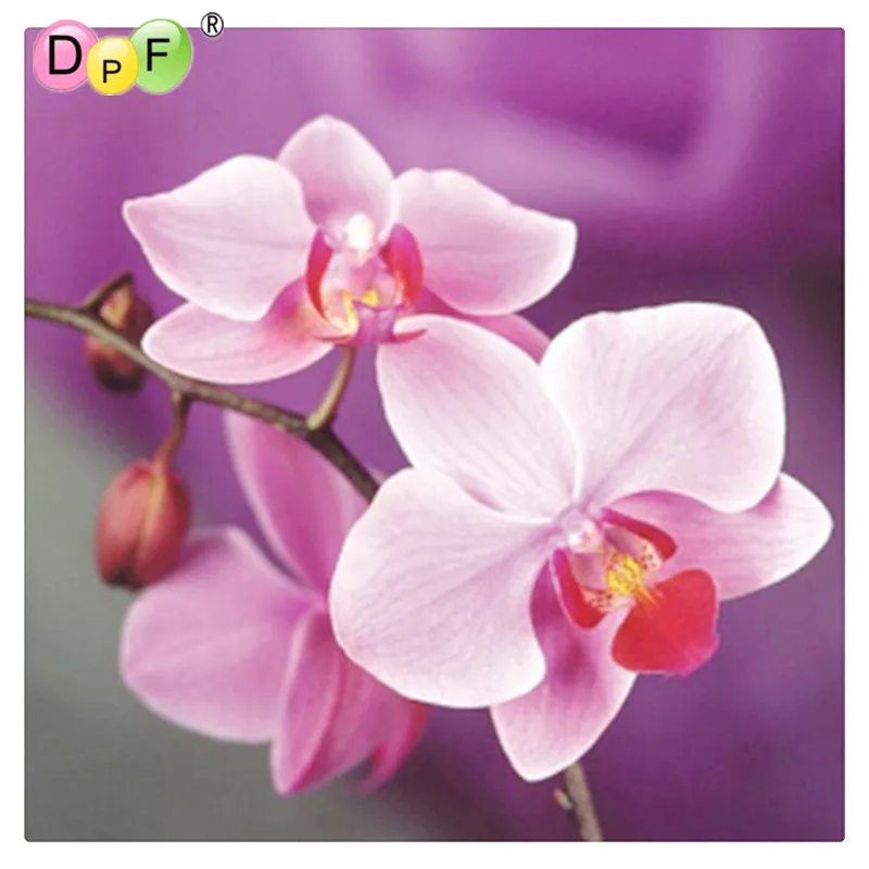 DPF Handmade needlework diy diamond painting kits diamond embroidery plant full rhinestone Pink orchid cross stitch painting
DPF Handmade needlework diy diamond painting kits diamond embroidery plant full rhinestone Pink orchid cross stitch painting