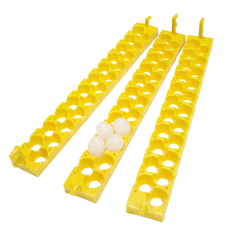 3 Pcs 22 Holes Bird Automatic Incubator Tray Incubation Accessories 132 Eggs / 154 Eggs Automatically Turn The Eggs Quail Tray
3 Pcs 22 Holes Bird Automatic Incubator Tray Incubation Accessories 132 Eggs / 154 Eggs Automatically Turn The Eggs Quail Tray