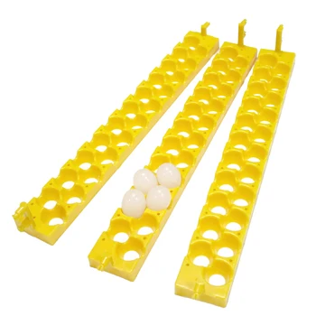3 Pcs 22 Holes Bird Automatic Incubator Tray Incubation Accessories 132 Eggs / 154 Eggs Automatically Turn The Eggs Quail Tray
3 Pcs 22 Holes Bird Automatic Incubator Tray Incubation Accessories 132 Eggs / 154 Eggs Automatically Turn The Eggs Quail Tray
