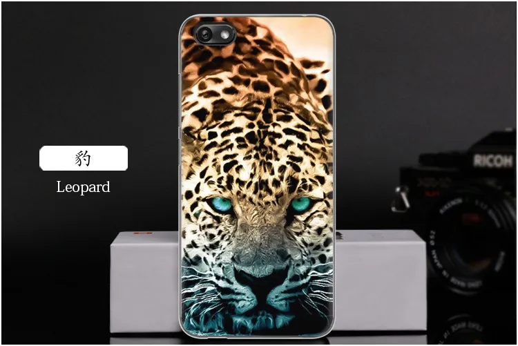 Leopard