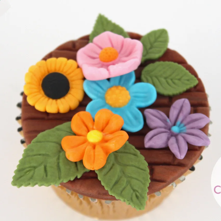 Tropical Theme Fondant Mold Flower Pine Cones Turtle leaf Candy Chocolate Silicone Molds DIY Summer Party Cake Decorating Tools
Tropical Theme Fondant Mold Flower Pine Cones Turtle leaf Candy Chocolate Silicone Molds DIY Summer Party Cake Decorating Tools