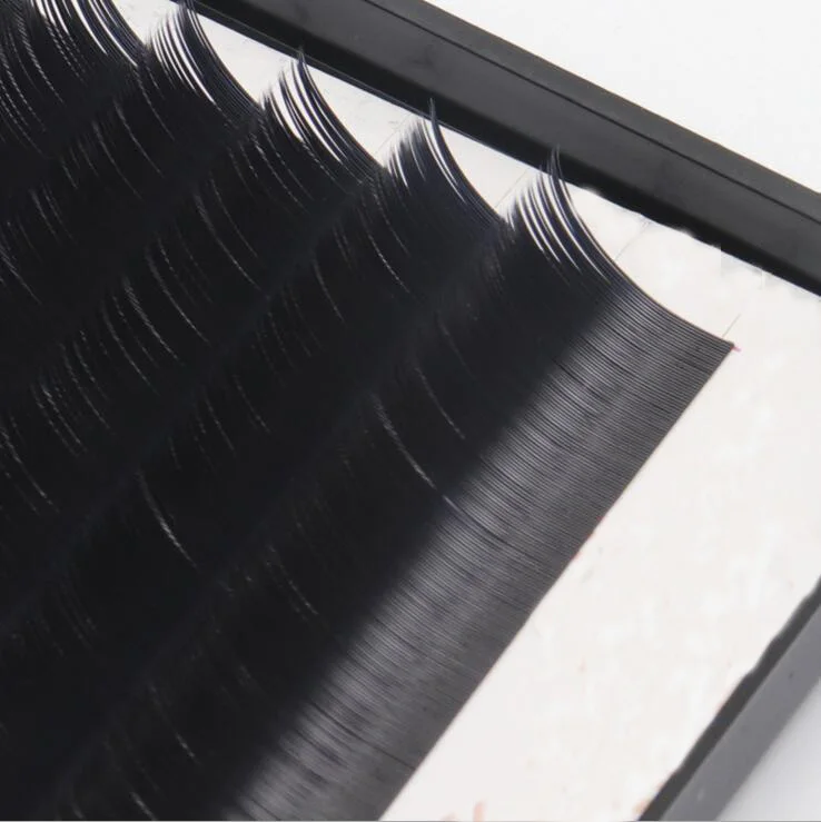 Ellipse Flat Single tip Eyelash Extensions C D CC DD curl 0.15mm 0.20mm thinkness 8-15mm length Saving time Grafting Easily
Ellipse Flat Single tip Eyelash Extensions C D CC DD curl 0.15mm 0.20mm thinkness 8-15mm length Saving time Grafting Easily