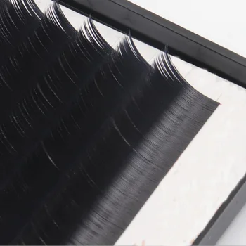 Ellipse Flat Single tip Eyelash Extensions C D CC DD curl 0.15mm 0.20mm thinkness 8-15mm length Saving time Grafting Easily
Ellipse Flat Single tip Eyelash Extensions C D CC DD curl 0.15mm 0.20mm thinkness 8-15mm length Saving time Grafting Easily