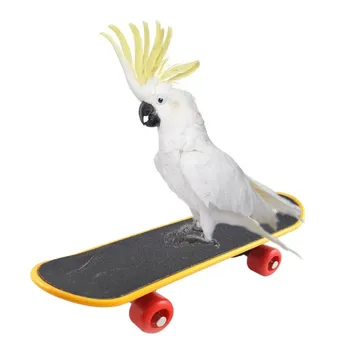 

Pet Bird Toys Parrot Toys Funny Intelligence Skateboard Toy Stand Perch Toy For Parakeet Co