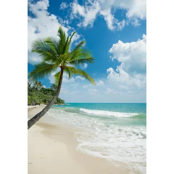 Hawaiian Style Photography Background Blue Sky With White Clouds Green Palm Tree On The Beach Backdrop For Photo Booth
Hawaiian Style Photography Background Blue Sky With White Clouds Green Palm Tree On The Beach Backdrop For Photo Booth
