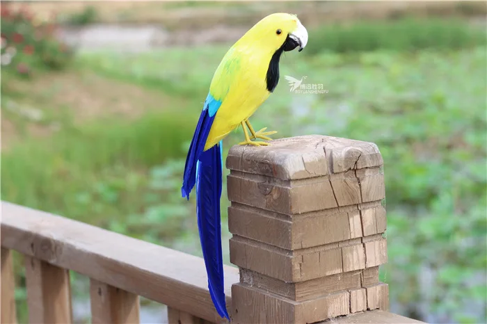 about 32cm foam&feathers parrot bird hard model stage prop craft garden decoration gift s2887
about 32cm foam&feathers parrot bird hard model stage prop craft garden decoration gift s2887