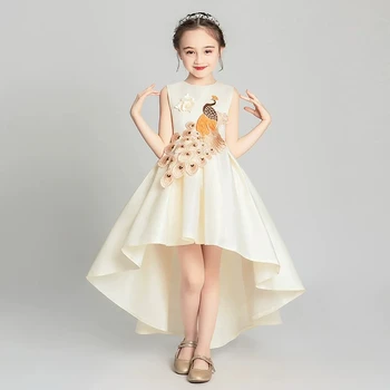 Children Girls Fashion Embroidery Champagne Birthday Evening Party Tail Dress Kids Baby Elegant Piano Pageant Host Costume Dress
Children Girls Fashion Embroidery Champagne Birthday Evening Party Tail Dress Kids Baby Elegant Piano Pageant Host Costume Dress