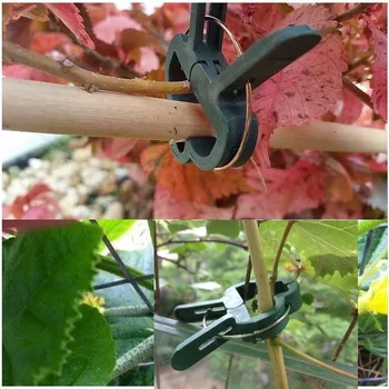 20pcs 2 Sizes plant flower garden clips tomato trellis Plastic Grafting Clips Supporting Plant Stems Grow Upright garden tools
20pcs 2 Sizes plant flower garden clips tomato trellis Plastic Grafting Clips Supporting Plant Stems Grow Upright garden tools