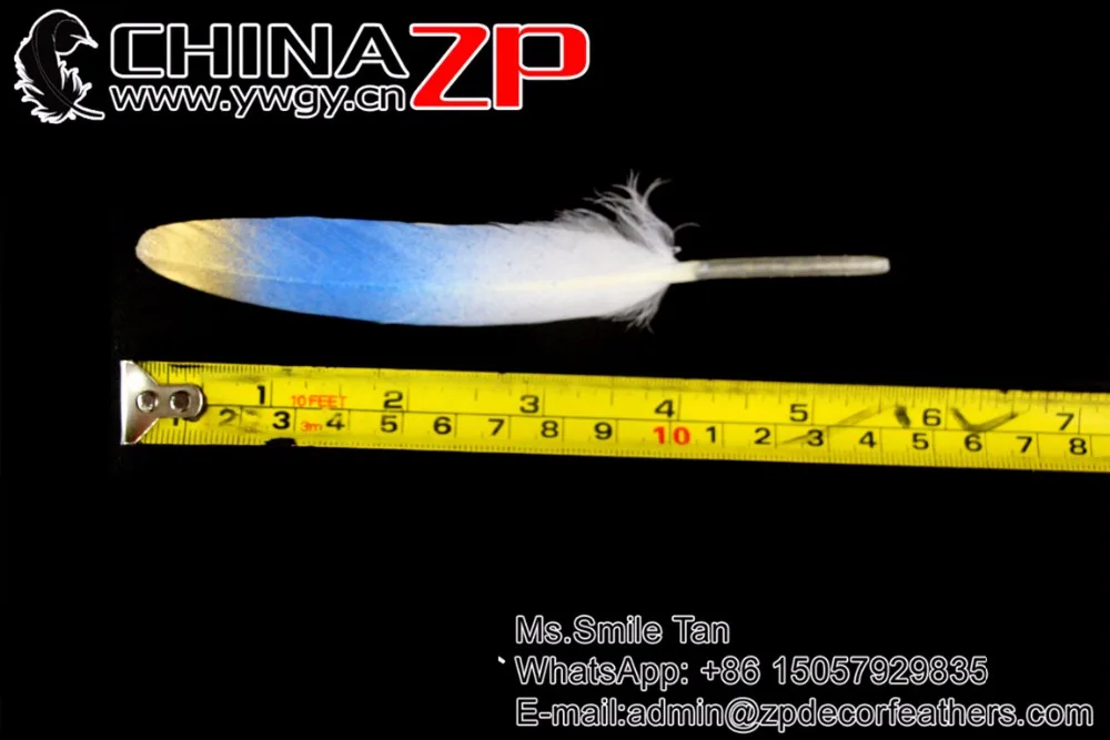 10 Turquoise Blue Hand Painted Duck Feathers (6)