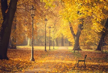 Laeacco Autumn Yellow Fallen Leaves Maple Tree Way Park Natural Scenic Photo Backgrounds Photographic Backdrops For Photo Studio
Laeacco Autumn Yellow Fallen Leaves Maple Tree Way Park Natural Scenic Photo Backgrounds Photographic Backdrops For Photo Studio