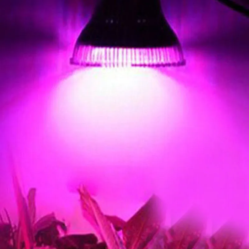 2019 Newest Full Spectrum E27 18W 18 Leds LED Grow Light Bulb Lamp for Veg Flower Indoor Hydroponic Plant DIY Hydroponics
2019 Newest Full Spectrum E27 18W 18 Leds LED Grow Light Bulb Lamp for Veg Flower Indoor Hydroponic Plant DIY Hydroponics