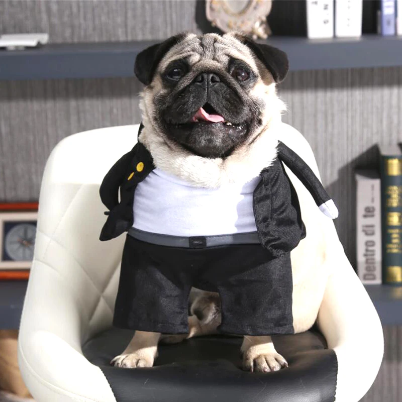 Funny Halloween Pet Cat Bachelor Graduate Student Standing Costume Clothes Small Dog Puppy Party Jacket Coat Clothing Y125
Funny Halloween Pet Cat Bachelor Graduate Student Standing Costume Clothes Small Dog Puppy Party Jacket Coat Clothing Y125