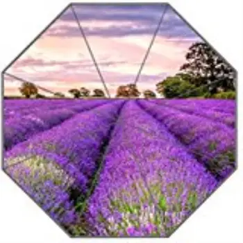 Lavender Custom Umbrella Waterproof Sun Rain 100% Fabric Aluminium High-Quality Foldable Umbrella
Lavender Custom Umbrella Waterproof Sun Rain 100% Fabric Aluminium High-Quality Foldable Umbrella