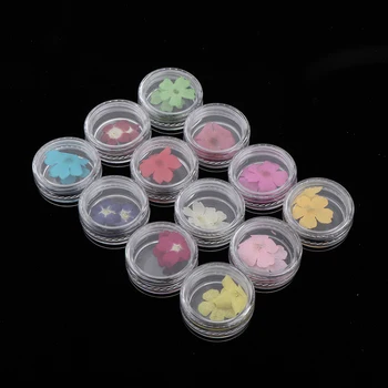 24Pcs Natural Dried Flowers Nail Art Decoration Stickers Kit For 3D Nail Art Acrylic UV Gel Tips
24Pcs Natural Dried Flowers Nail Art Decoration Stickers Kit For 3D Nail Art Acrylic UV Gel Tips