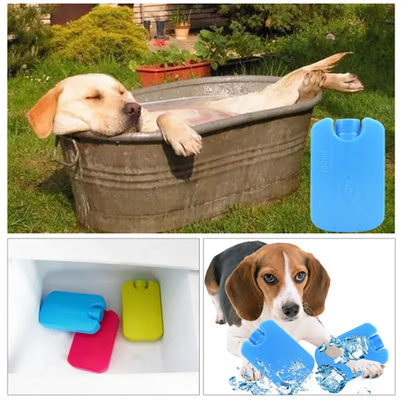 Ice Water Filled Box for Pet Dog Summer Cooling Ice Bag Not Need Water Reusable Cooler for Puppy Dog Cooling Toy Sleeping Bed
Ice Water Filled Box for Pet Dog Summer Cooling Ice Bag Not Need Water Reusable Cooler for Puppy Dog Cooling Toy Sleeping Bed