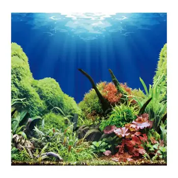 9097 19.3" x 48" Double Sided Fish Tank Background Sea World / Golden Mushroom Aquarium Decoration Picture Poster
9097 19.3" x 48" Double Sided Fish Tank Background Sea World / Golden Mushroom Aquarium Decoration Picture Poster