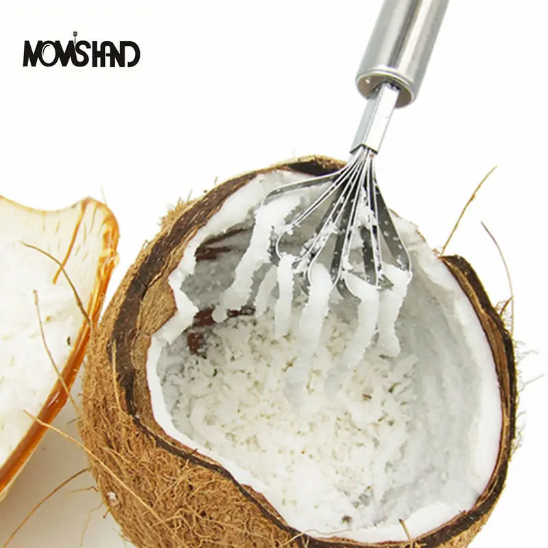 Stainless Steel Kitchen Fruit Tools Coconut Shaver Kitchen Fish Clean Scales Tools Kitchen Accessories
Stainless Steel Kitchen Fruit Tools Coconut Shaver Kitchen Fish Clean Scales Tools Kitchen Accessories