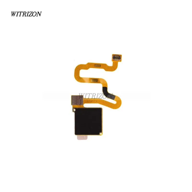 Haze Gold-02_1