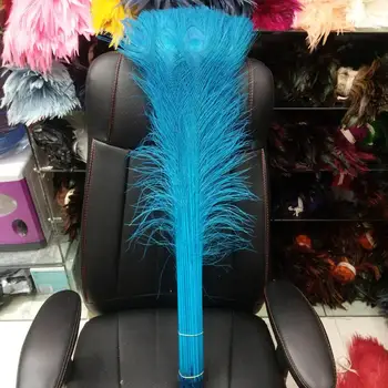 Wholesale price! 100pcs beautiful 32-34inches / 80-90cm sky blue peacock feather For Party Wedding Decorations
Wholesale price! 100pcs beautiful 32-34inches / 80-90cm sky blue peacock feather For Party Wedding Decorations