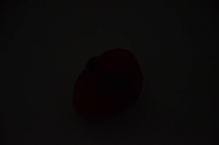 (4)