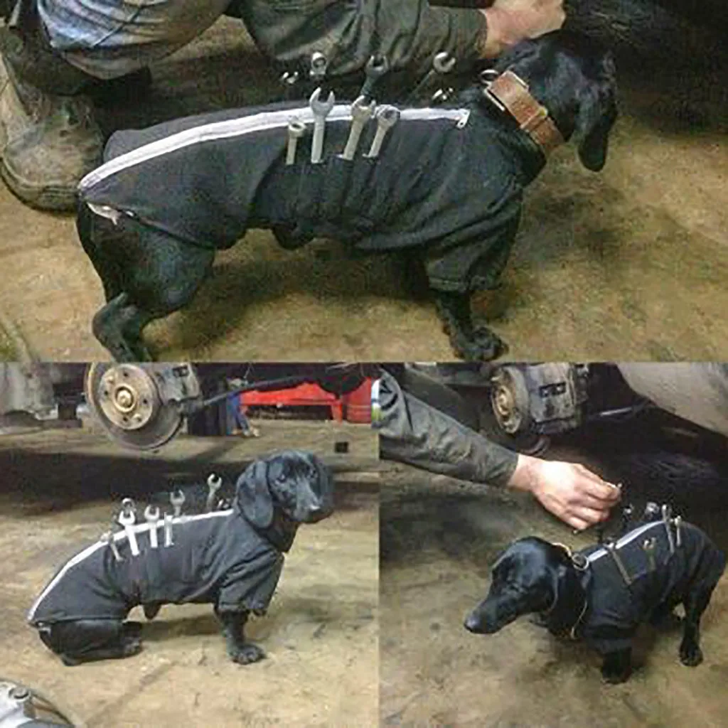 ISHOWTIENDA Arrival Working Dog Mechanics Assistant Dog Vests Creative Dog move toolbox Cute Pet Dog Clothes 2019 best selling
ISHOWTIENDA Arrival Working Dog Mechanics Assistant Dog Vests Creative Dog move toolbox Cute Pet Dog Clothes 2019 best selling