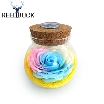 LED RGB Dimmer Night Lights Flower Bottle Lamp Creative Romantic Rose Bulbs Great Gift For Girls Mother's Day 16 Colors Remote
LED RGB Dimmer Night Lights Flower Bottle Lamp Creative Romantic Rose Bulbs Great Gift For Girls Mother's Day 16 Colors Remote