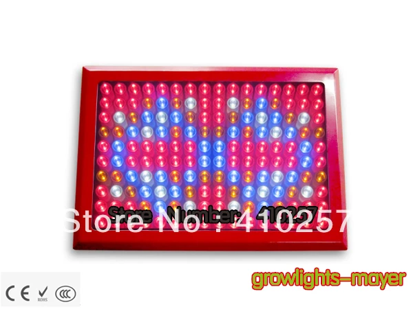 Red shell 480W Led Grow Light 160*3W built with optical lens best for Medicinal plants growth and flowering stage dropshipping
Red shell 480W Led Grow Light 160*3W built with optical lens best for Medicinal plants growth and flowering stage dropshipping