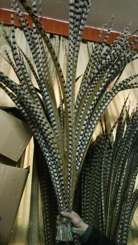 Wholesale perfect 10pcs Rare natural Reeves's Pheasant feathers 48-52inch/120-130cm Decorative diy
Wholesale perfect 10pcs Rare natural Reeves's Pheasant feathers 48-52inch/120-130cm Decorative diy
