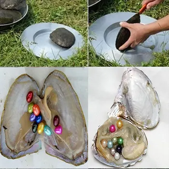 surprising pack 10/20pcs mix 20 color Oval Bead Oysters Pearl Oyster Pearl Mussel individually wrap (Random Color)
surprising pack 10/20pcs mix 20 color Oval Bead Oysters Pearl Oyster Pearl Mussel individually wrap (Random Color)
