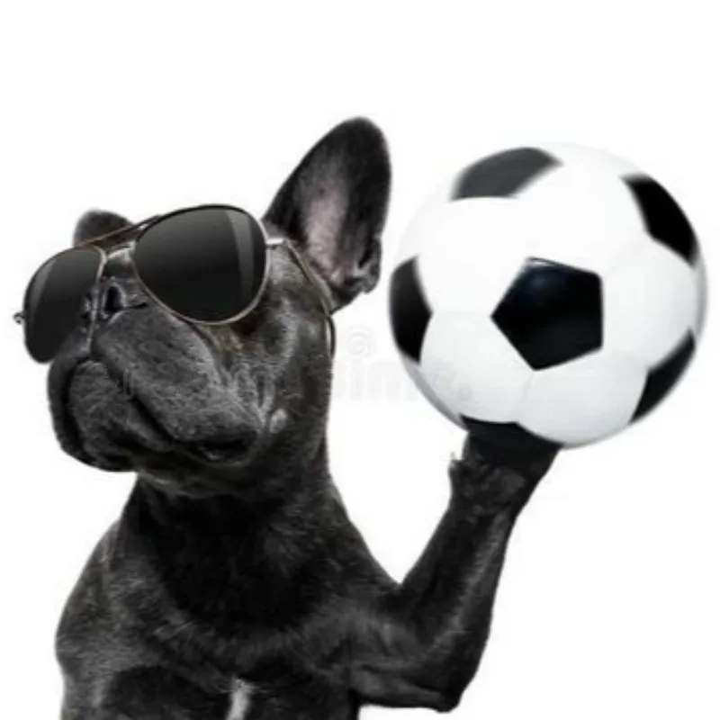 6 pcs/lot Small Printed Dog Doggie Clothes Summer Tops Soccer Basketball Pets Football Mesh Cloth Pet Clothing Suppliers
6 pcs/lot Small Printed Dog Doggie Clothes Summer Tops Soccer Basketball Pets Football Mesh Cloth Pet Clothing Suppliers