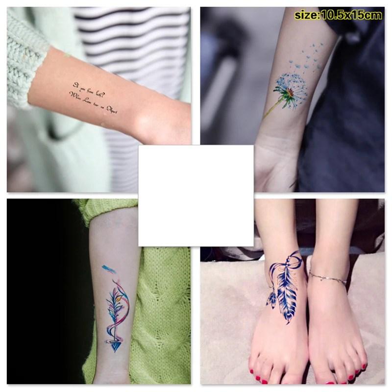 SC-529+553+555+560dxx
