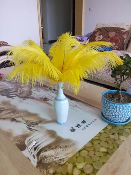 Hot! wholesale 100pcs Yellow ostrich feather wedding decoration DIY10-12inches / 25-30CM
Hot! wholesale 100pcs Yellow ostrich feather wedding decoration DIY10-12inches / 25-30CM