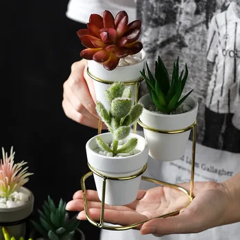 3Pcs Nordic style Coarse Pottery Ceramics Gold Iron Vase Tabletop Flowerpot Home Wedding Decoration Accessories For Flower Plant
3Pcs Nordic style Coarse Pottery Ceramics Gold Iron Vase Tabletop Flowerpot Home Wedding Decoration Accessories For Flower Plant