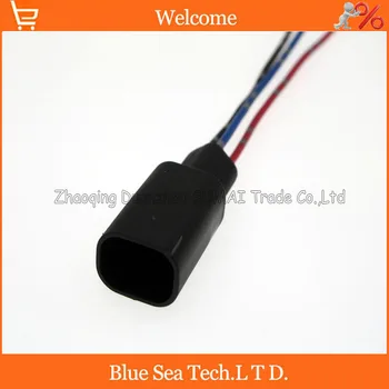 TE/AMP 3 Pin/way auto restrictor sensor/Throttl/Taillight plug with cable,auto electrical plug for BMW,Benz
TE/AMP 3 Pin/way auto restrictor sensor/Throttl/Taillight plug with cable,auto electrical plug for BMW,Benz