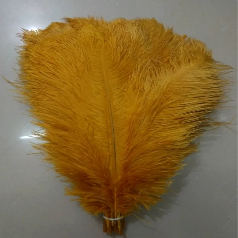 Beautiful golden ostrich feather 100 pcs feather length 8-10 inches / 20-25 cm Wedding Decoration Free Shipping
Beautiful golden ostrich feather 100 pcs feather length 8-10 inches / 20-25 cm Wedding Decoration Free Shipping