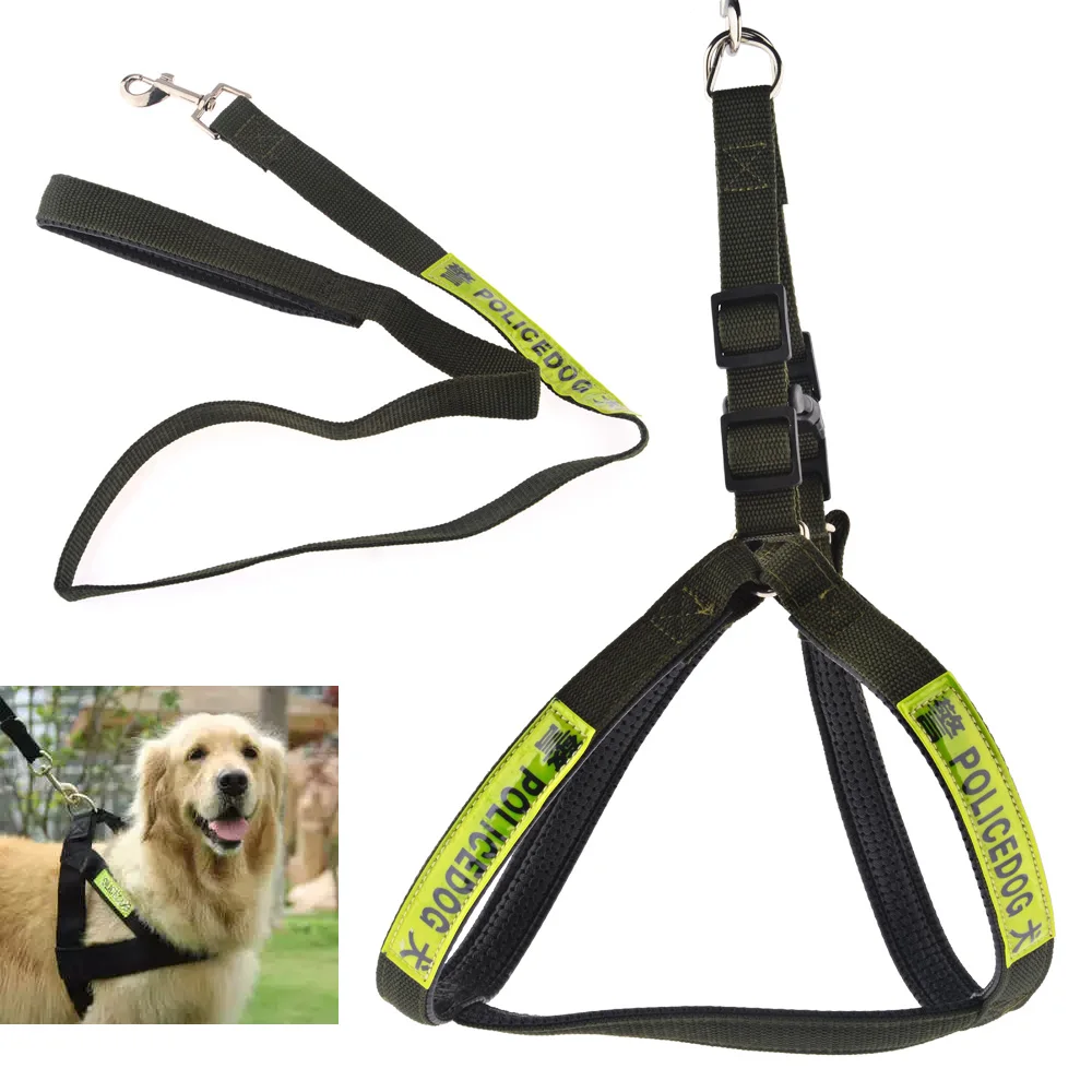 Sportsheets collar leash review best adult free compilations