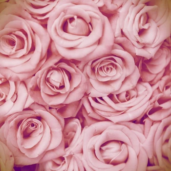 pink roses printed valentine's backdrops Art fabric flower background for indoor newborn baby girl lovers background D-9865
pink roses printed valentine's backdrops Art fabric flower background for indoor newborn baby girl lovers background D-9865
