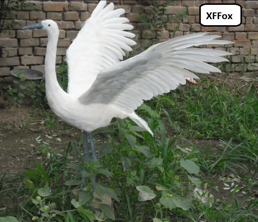 HTB1gwKBRFXXXXcnXXXXq6xXFXXXW