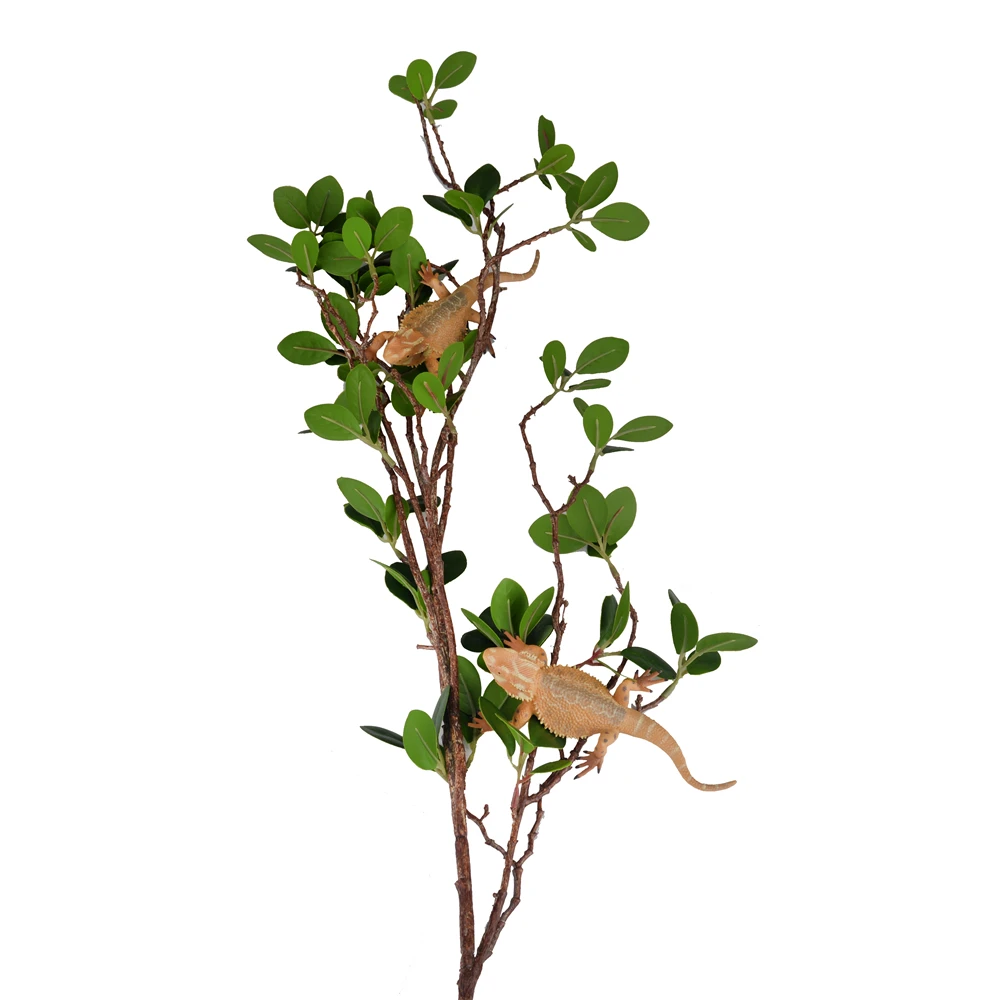 Branches Simulated Plant for Lizard Spider Snake Reptiles Pets Habitat Decor Plants Plastic Terrarium Plant Leaves
Branches Simulated Plant for Lizard Spider Snake Reptiles Pets Habitat Decor Plants Plastic Terrarium Plant Leaves