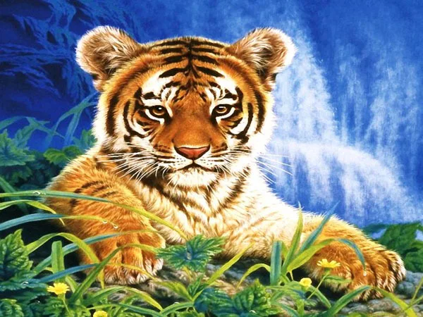 Diy Diamond painting cross stitch animal crystal round diamond sets unfinish decorative full diamond embroidery tiger
Diy Diamond painting cross stitch animal crystal round diamond sets unfinish decorative full diamond embroidery tiger