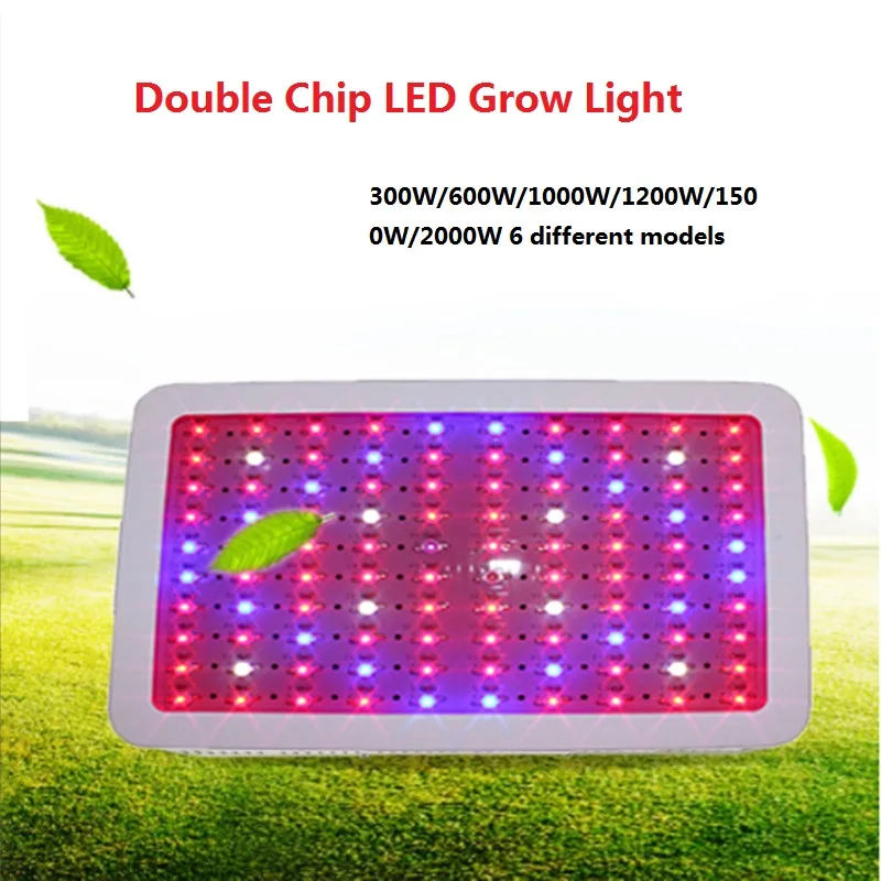 NEW Arrival Double Chips grow lamp 300W/600W/1000W/1200W/1500W/2000W 60LED/100leds grow light for plants flowers
NEW Arrival Double Chips grow lamp 300W/600W/1000W/1200W/1500W/2000W 60LED/100leds grow light for plants flowers
