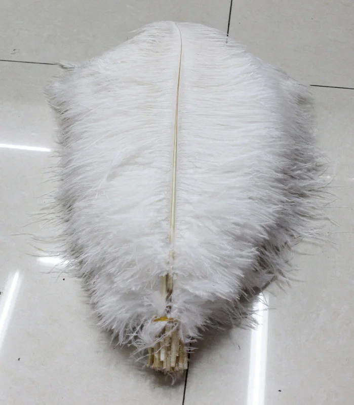 wholesale Quality 10pcs perfect Leniency Male white natural ostrich feather 12-14inch/30-35cm decorative diy
wholesale Quality 10pcs perfect Leniency Male white natural ostrich feather 12-14inch/30-35cm decorative diy