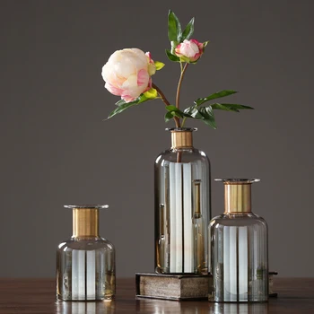 European Glass Vase Fashion Flower Inserts Terrarium Clear Containers Water Bottle Wedding Gifts Home Decoration Accessories
European Glass Vase Fashion Flower Inserts Terrarium Clear Containers Water Bottle Wedding Gifts Home Decoration Accessories