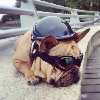 Free Shipping Dog Motorcycle helmet Pet safety helmet Cool helmet Dog hat Funny pet ornaments FREE Sunglasses Motorcyclists
Free Shipping Dog Motorcycle helmet Pet safety helmet Cool helmet Dog hat Funny pet ornaments FREE Sunglasses Motorcyclists
