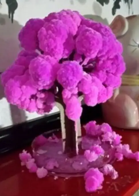 2019 100PCS 14x11cm Pink Big Magic Grow Paper Japanese Sakura Tree Magically Growing Trees Kit Desktop Cherry Blossom Kids Toys 
2019 100PCS 14x11cm Pink Big Magic Grow Paper Japanese Sakura Tree Magically Growing Trees Kit Desktop Cherry Blossom Kids Toys