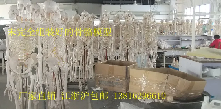//img.alicdn.com/imgextra/i1/466366108/T2yrXvXopMXXXXXXXX_!!466366108.jpg